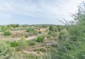 Chalet independiente con terreno en venta en la España, Llíria, ref: TR408593 foto
