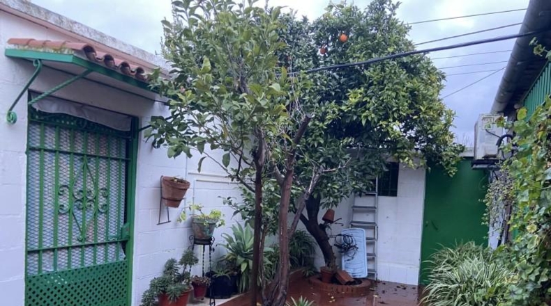 Córdoba - Córdoba - 346m2