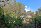 Chalet independiente con terreno en venta en la España, Olivella, ref: TR316573 foto