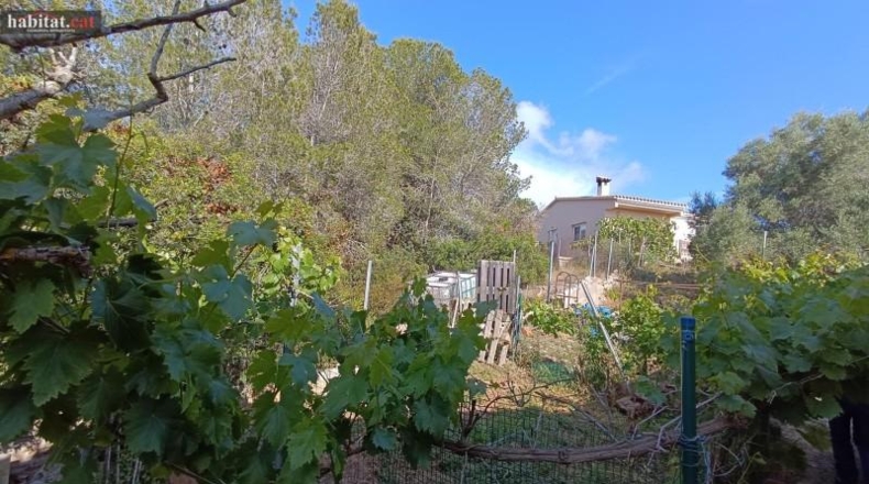 Barcelona - Olivella - 1125m2