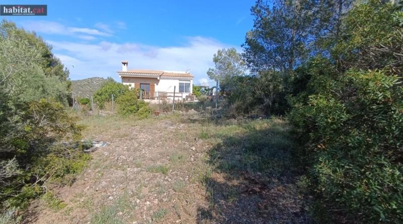Barcelona - Olivella - 1125m2