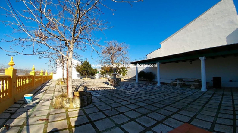 Córdoba - Lucena - 2205m2