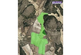 Sax 142359&nbsp;m²