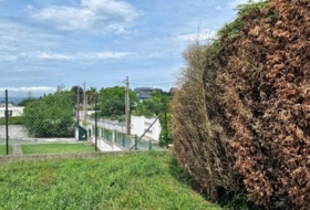 Foto 9