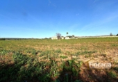 Country house with land for sale on España, Manacor, ref: TR373437 photo