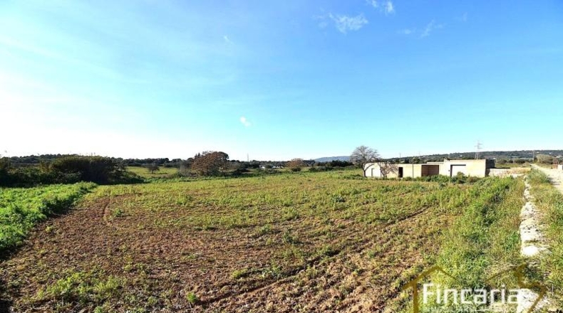 Islas Baleares - Manacor - 28380m2