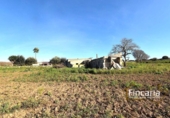 Country house with land for sale on España, Manacor, ref: TR373437 photo
