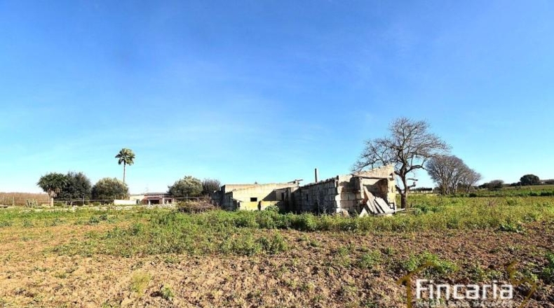 Islas Baleares - Manacor - 28380m2
