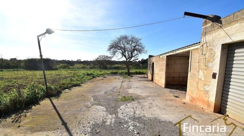 Islas Baleares - Manacor - 28380m2