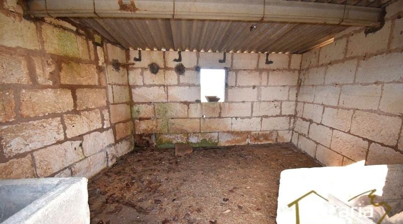 Islas Baleares - Manacor - 28380m2
