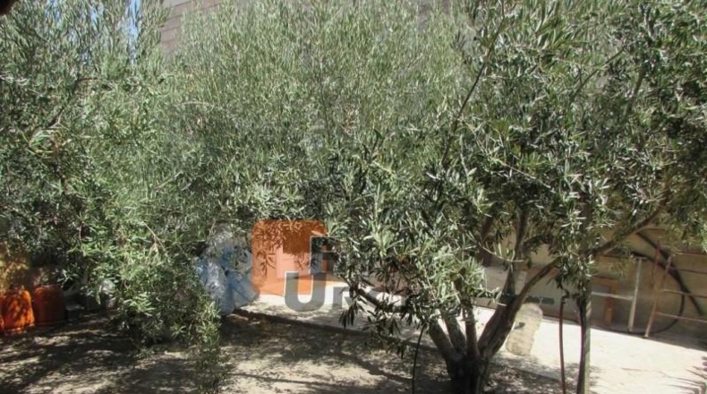 Murcia - Águilas - 1745m2