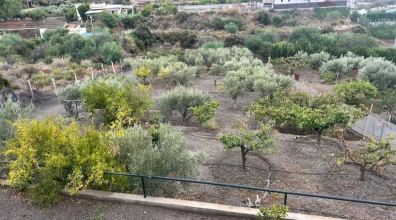 Murcia - Águilas - 1745m2