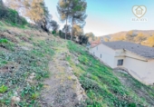 Detached villa with land for sale on España, Olesa de Bonesvalls, ref: TR400143 photo