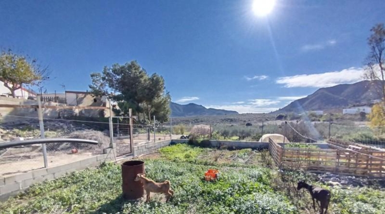 Murcia - Mazarrón - 6800m2