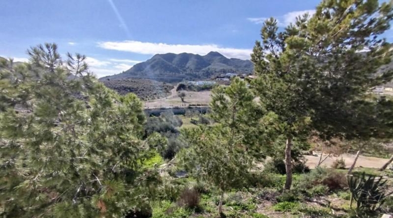 Murcia - Mazarrón - 6800m2