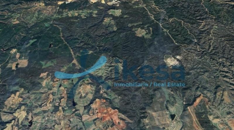 Huelva - Niebla - 468093m2