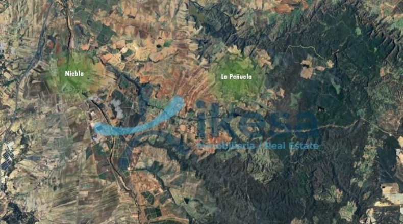 Huelva - Niebla - 468093m2