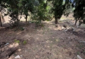 Chalet independiente con terreno en venta en la España, Godelleta, ref: TR412122 foto