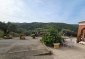 Chalet independiente con terreno en venta en la España, Pozoblanco, ref: TR406015 foto