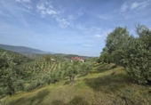 Chalet independiente con terreno en venta en la España, Pozoblanco, ref: TR406015 foto