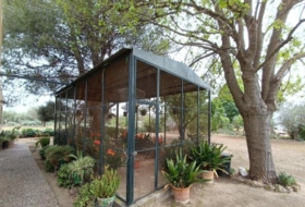 Foto 10