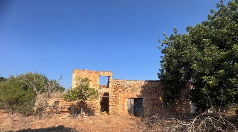 Illes Balears - Inca - 22099m2