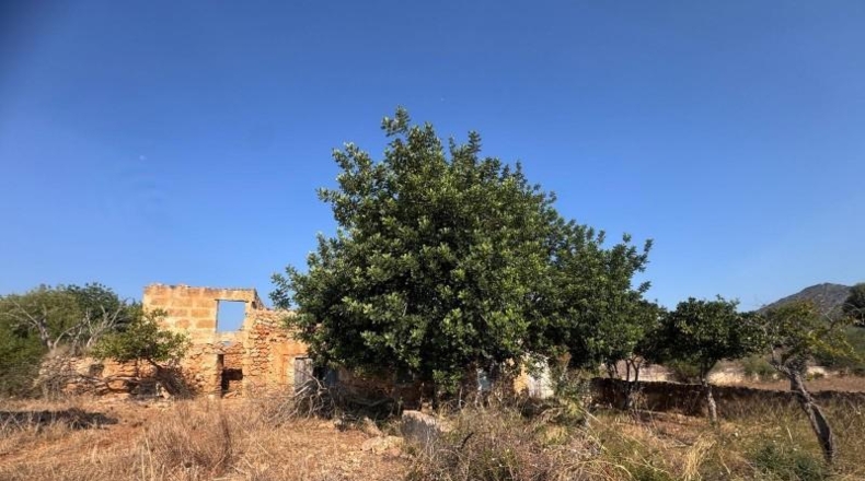 Illes Balears - Inca - 22099m2