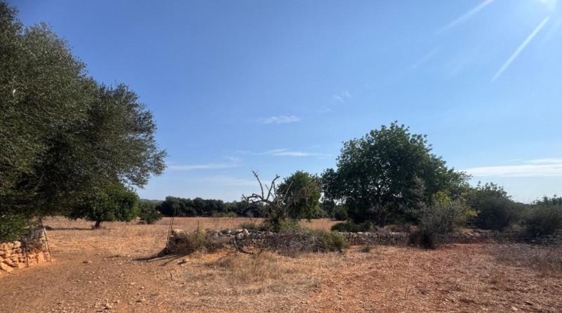 Illes Balears - Inca - 22099m2