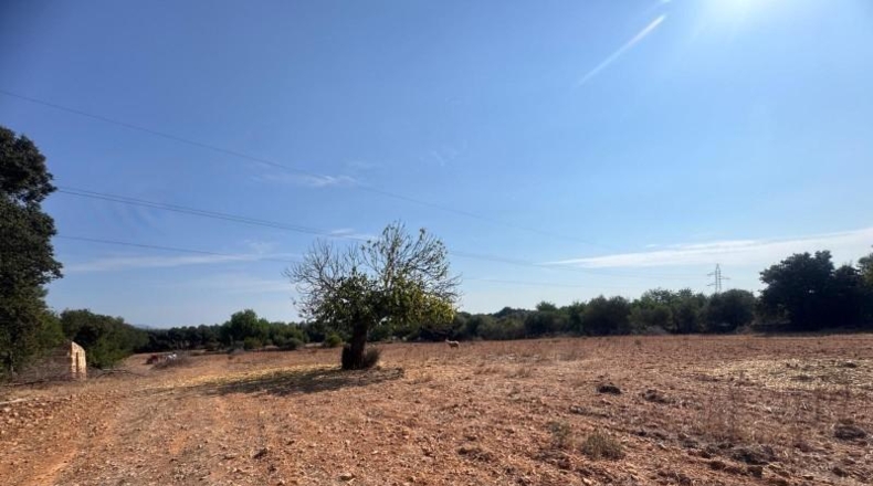 Illes Balears - Inca - 22099m2