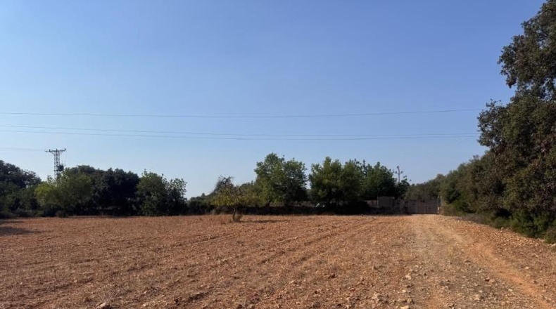 Illes Balears - Inca - 22099m2