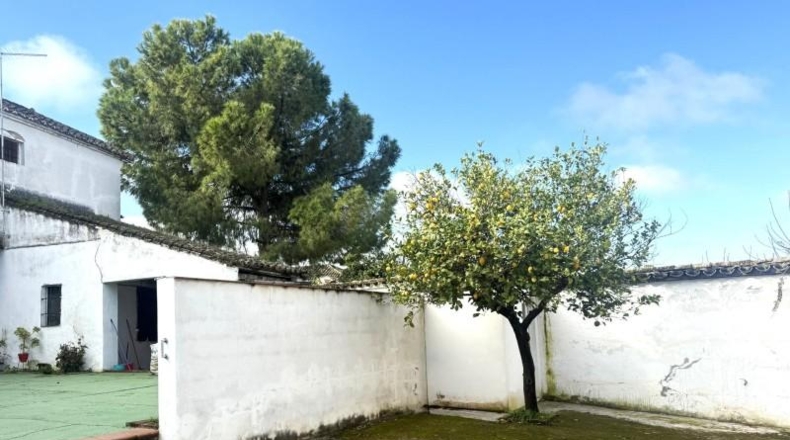 Кордова - Bujalance - 656m2