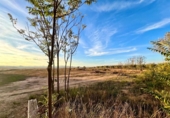 Country house with land for sale on España, Yecla, ref: TR382890 photo