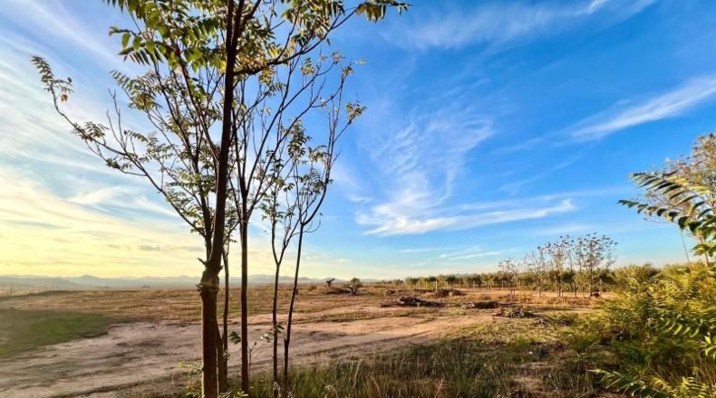 Murcia - Yecla - 3400m2