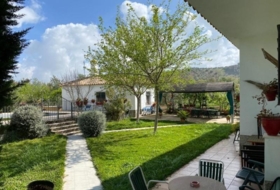 Baena 6550&nbsp;m² 