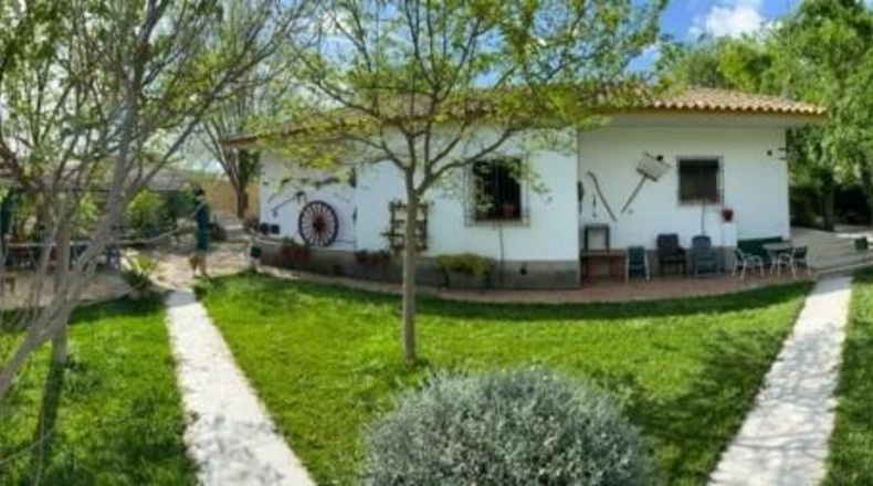 Córdoba - Baena - 6550m2