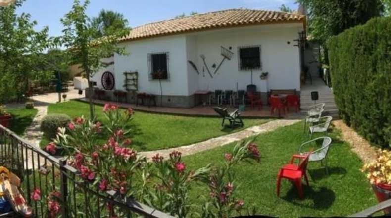 Córdoba - Baena - 6550m2