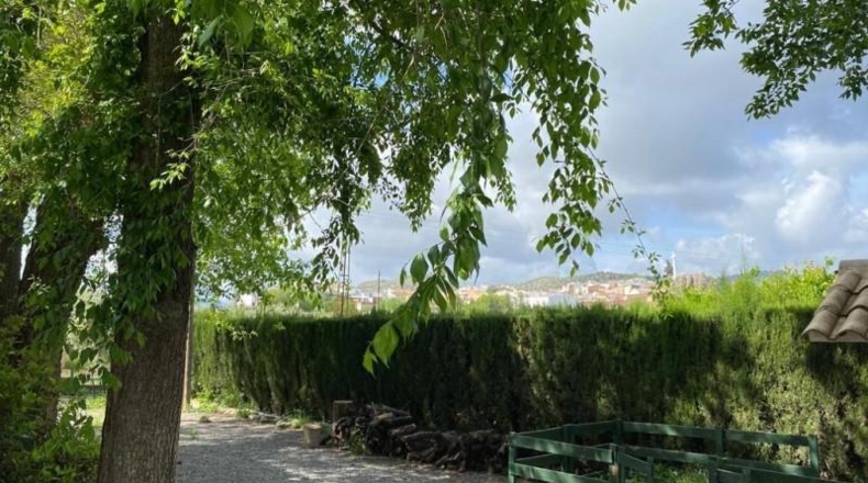 Córdoba - Baena - 6550m2