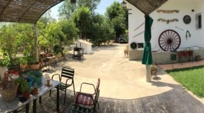 Córdoba - Baena - 6550m2