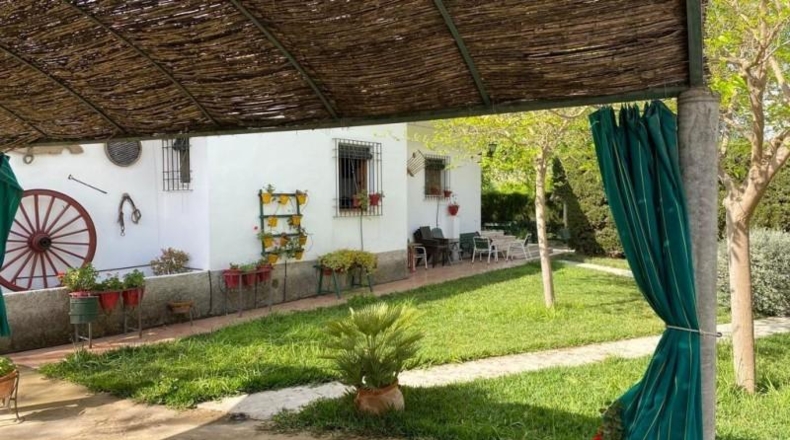 Córdoba - Baena - 6550m2