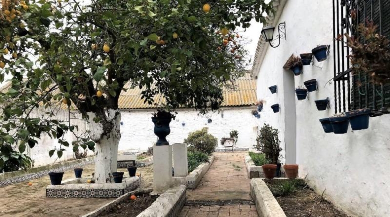 Huelva - Manzanilla - 922m2