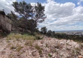 Suelo urbano en venta en la España, Alzira, ref: TR408607 foto