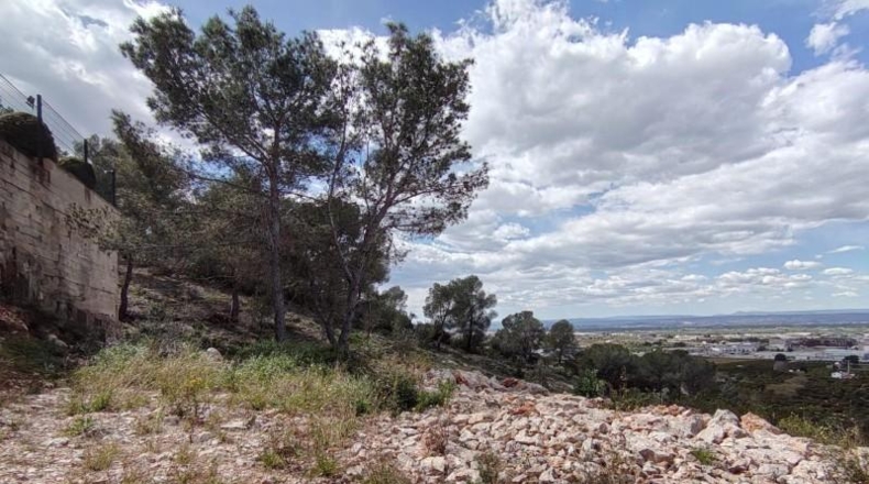 València - Alzira - 797m2