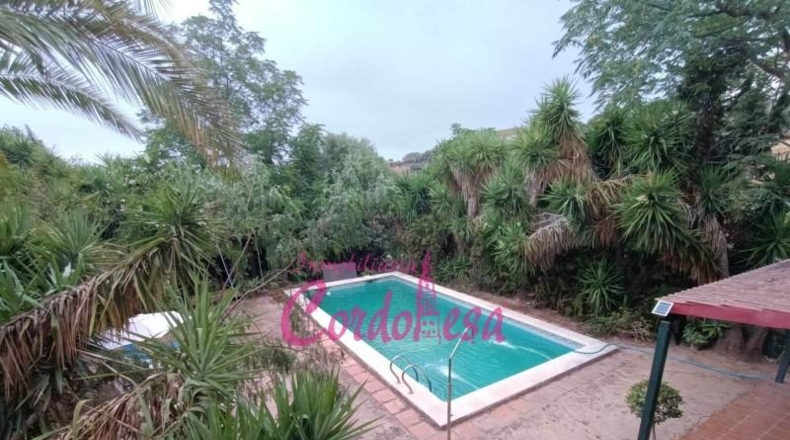 Córdoba - Córdoba - 6000m2