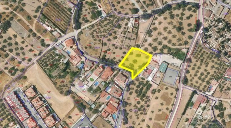 Murcia - Murcia - 1289m2