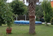 Detached villa with land for sale on España, Leiro, ref: TR164323 photo