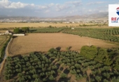 Terreny no urbanitzable en venda a la España, Alhendín, ref.: TR171043 foto