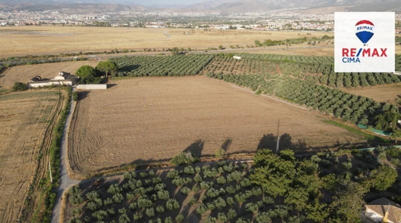 Granada - Alhendín - 25124m2