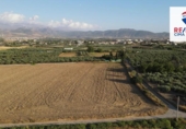 Terreny no urbanitzable en venda a la España, Alhendín, ref.: TR171043 foto