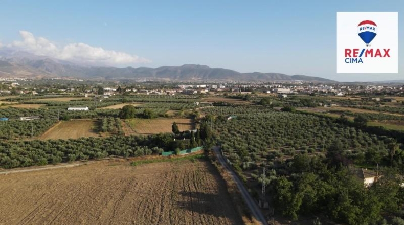 Granada - Alhendín - 25124m2