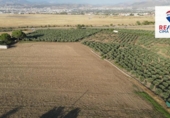 Terreny no urbanitzable en venda a la España, Alhendín, ref.: TR171043 foto